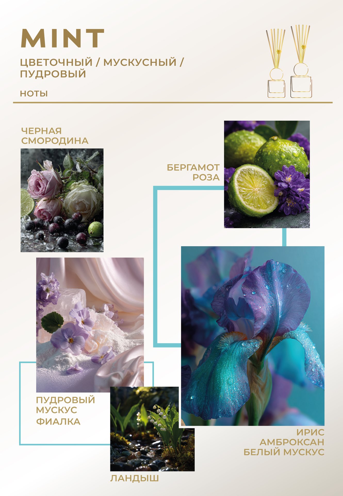 MINT- ДИФФУЗОР 500ml - изображение 3