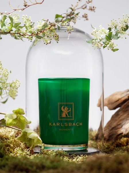 Green Branches Magnolia - GLASS CANDLE 270g