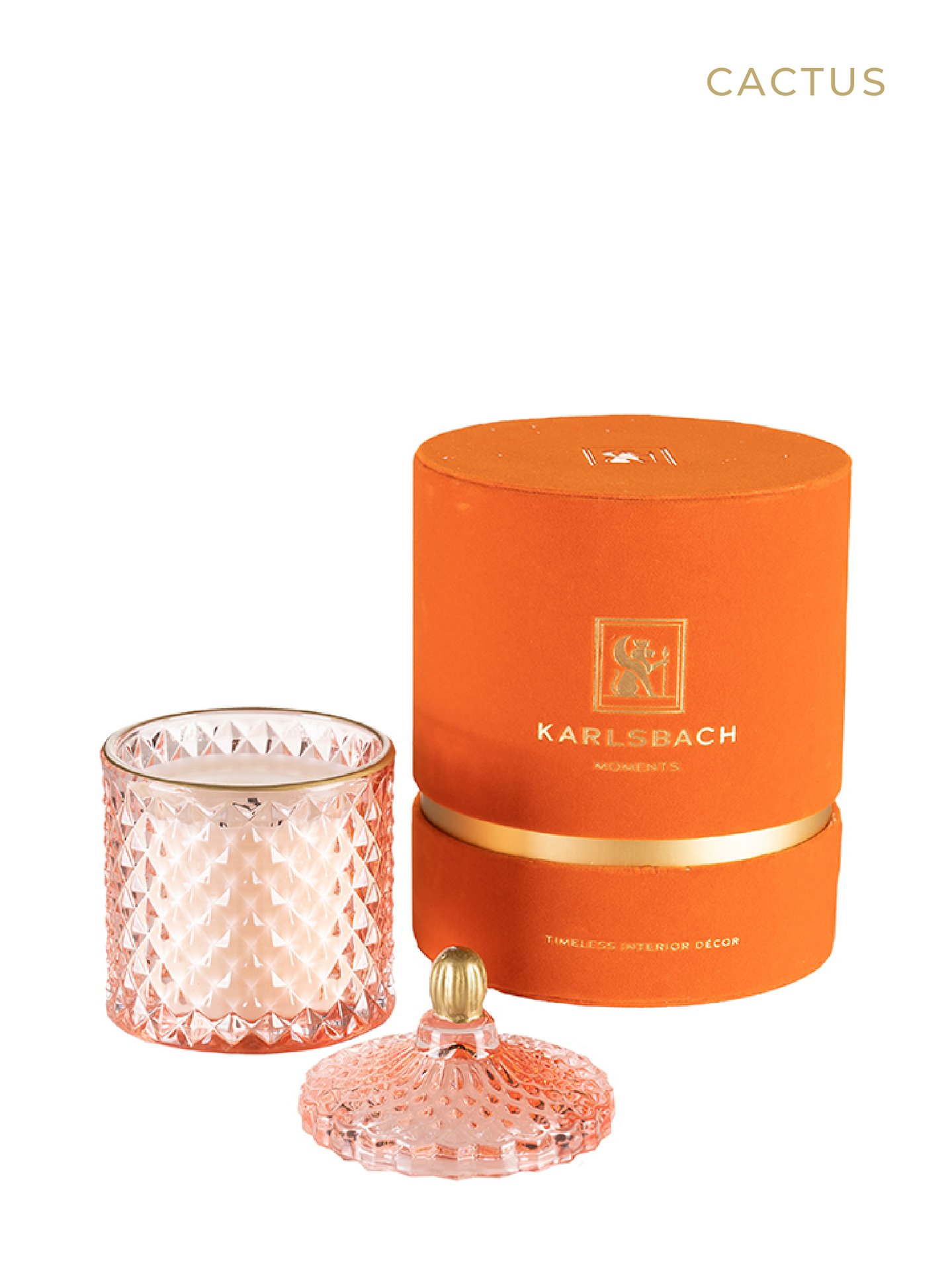 Cactus - GLASS CANDLE 250g - изображение 1