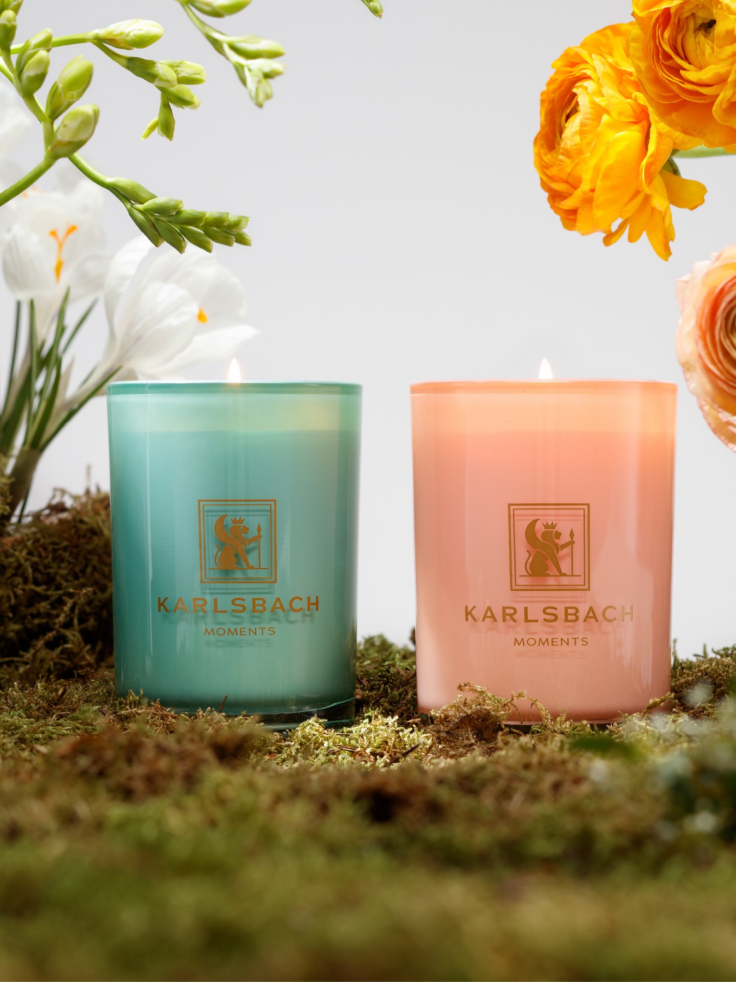 Cactus - GLASS CANDLE 270g - изображение 2